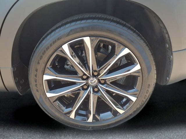 2025 Mazda Mazda CX-50 2.5 S Premium Plus